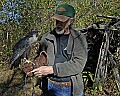 _DSC8767 ron and perry-peregrine falcon.jpg