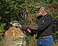 DSC_1640 red-tailed hwak release and ron perrone.jpg