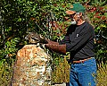 DSC_1643 ron perrone releasing a red-tailed hawk.jpg