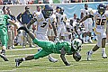 _MG_7244 marshall 24.jpg