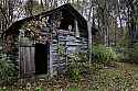 _MG_9739 Birds in the Barn.jpg