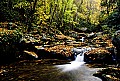 02255-00611 Wolfe Creek, WV.jpg