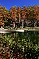 _MG_3238 babcock state park-fall.jpg