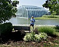 Butterflies 622 Andrew Goebel at Butterfly House.jpg