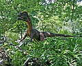 _MG_2180 dinosaur.jpg