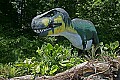 _MG_2269 dynasaur-tyrannasaurus rex.jpg