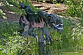 _MG_3020 dinosaur.jpg