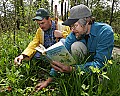 _MG_4687 botanists on the boardwalk.jpg