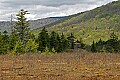 _MG_4694 mid spring glades.jpg