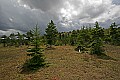 _MG_4716 glades with clouds.jpg