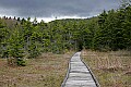 _MG_4873 early spring (boardwalk) between storms.jpg