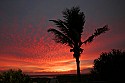 _MG_0473 atlantic ocean sunrise-Cocoa Beach Fl.jpg