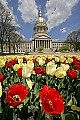 _MG_0572 tulips, clouds and capitol.jpg