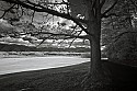 _MG_0005 cades cove.jpg