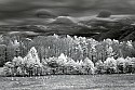 _MG_0017 cades cove-lenticular clouds.jpg