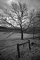 _MG_9943 cades cove 1.jpg