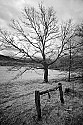 _MG_9943 cades cove.jpg