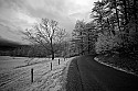 _MG_9949 cades cove.jpg