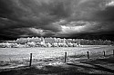 _MG_9956 cades cove, Hyatt Lane.jpg