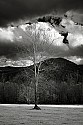 _MG_9982 cades cove-february clouds.jpg