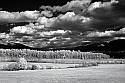 _MG_9991 cades cove.jpg