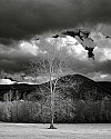 Cades Cove, Great Smoky Mountains National Park-Infrared- 020 Cades Cove Scene.jpg