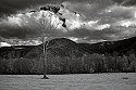 Cades Cove, Great Smoky Mountains National Park-Infrared- 033 cades cove.jpg