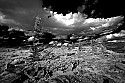 _MG_3390 Spruce knob-infrared.jpg