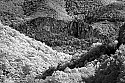 _MG_4015 seneca rocks-infrared.jpg