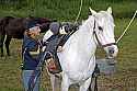 _MG_1810 saddles dusty.jpg