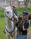 _MG_1839 puts a bridle on Dusty.jpg