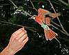 _MG_3985 carmine bee eater.jpg