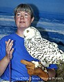 DSC_0349 handler and snowy owl.jpg