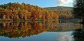 Plum Orchard Panorama.jpg