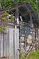 _MG_1279 barn owl in barn.jpg