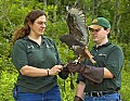 DSC_8902 wendy and allen with harlan redtail hawk.jpg