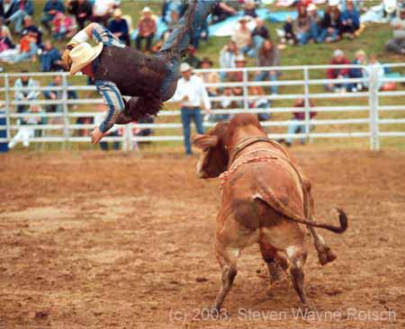 high flying cowboy