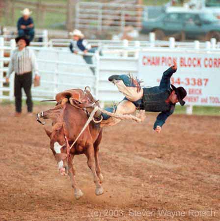 saddle bronc faller