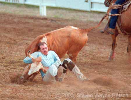 steer wrestler