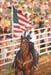 rodeo flag waver 8.7x12