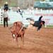 saddle bronc faller