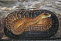 st louis zoo 103 jamaican boa.jpg