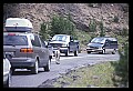 10116-00004-Big Horn Sheep, Ovis Canadensis.jpg