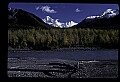 04100-00008-Alaska Scenes.jpg