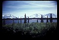 04100-00134-Alaska Scenes.jpg