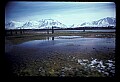 04100-00225-Alaska Scenes.jpg