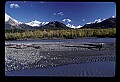 04100-00260-Alaska Scenes.jpg
