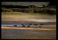 07301-00008-Canada National Parks-Waterton Lakes National Park.jpg