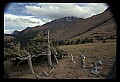 02400-00017-Colorado Scenes-Pikes Peak, 14,110 feet.jpg