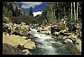 02400-00028-Colorado Scenes-Chalk Creek, Caffee County along Rt 162.jpg